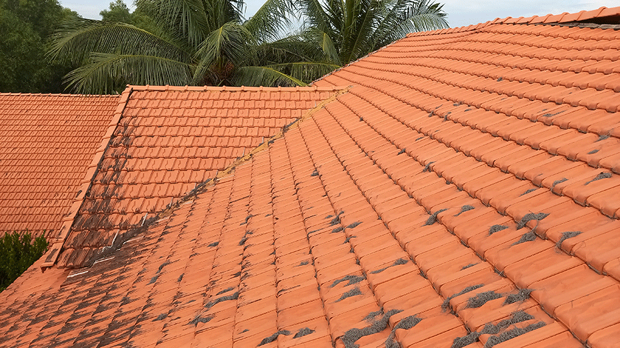 Thay mái nhà bị dột Thay mái ngói cũ bị dột
